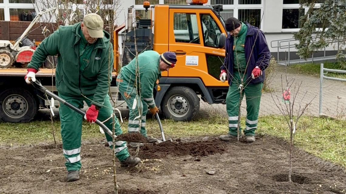 aktualność: Gliwice coraz bardziej zielone. Powstaje miejski sad